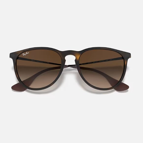 Ray-Ban Most Popular Erika Classic Sunglasses - Picture 1 of 8